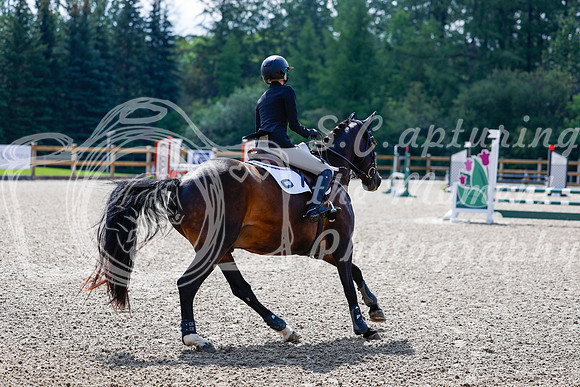 2025 - Haylee - Picco Horse Show - Sunday July 27th 02409