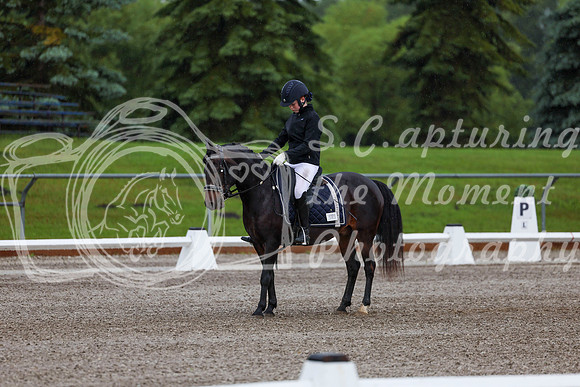 2025 - Dressage Festival - Sunday July 6th - 00010