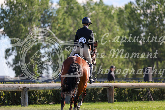 00459 - Shea - 2026 Mid-Summer Classic I - Saturday July 11th