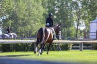 00392 - Shea - 2026 Mid-Summer Classic I - Saturday July 11th