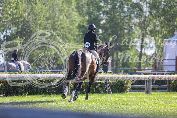 00392 - Shea - 2026 Mid-Summer Classic I - Saturday July 11th