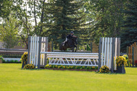 00772 - Shea - 2026 Mid-Summer Classic I - Saturday July 11th