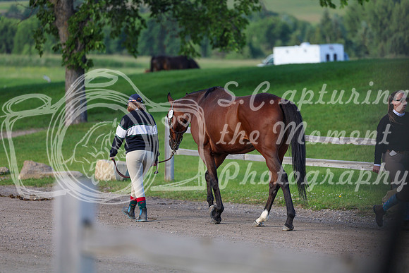 00114 - Shea - 2026 Mid-Summer Classic I - Saturday July 11th