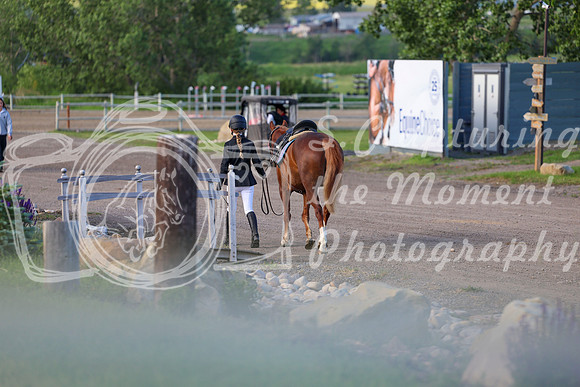 00113 - Shea - 2026 Mid-Summer Classic I - Saturday July 11th