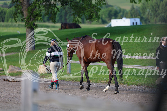 00116 - Shea - 2026 Mid-Summer Classic I - Saturday July 11th