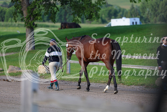 00117 - Shea - 2026 Mid-Summer Classic I - Saturday July 11th