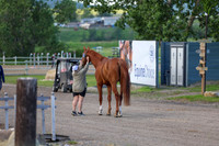 00279 - Shea - 2026 Mid-Summer Classic I - Saturday July 11th