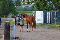 00281 - Shea - 2026 Mid-Summer Classic I - Saturday July 11th