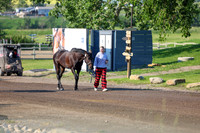 00574 - Shea - 2026 Mid-Summer Classic I - Saturday July 11th