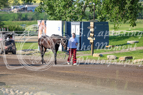 00575 - Shea - 2026 Mid-Summer Classic I - Saturday July 11th