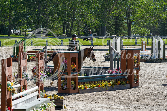 05182 - Alina - 2026 Mid-Summer Classic I - Sunday July 12th