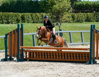Pony