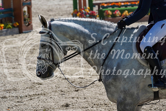 05558 - Alina - 2026 Mid-Summer Classic I - Sunday July 12th