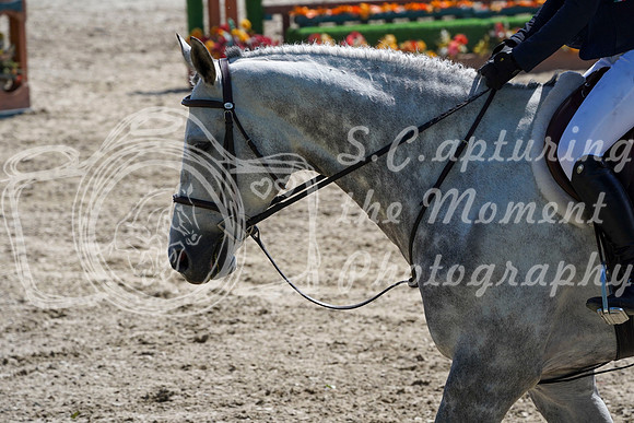 05557 - Alina - 2026 Mid-Summer Classic I - Sunday July 12th