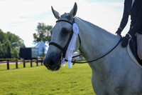00529 - Shea - 2026 Mid-Summer Classic I - Sunday July 12th