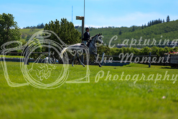 06349 - Shea - 2026 Mid-Summer Classic I - Sunday July 12th