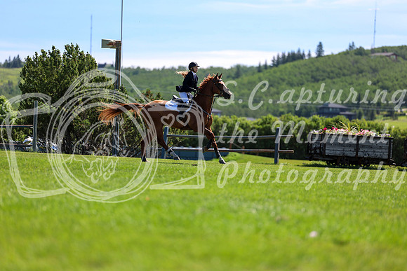 06911 - Shea - 2026 Mid-Summer Classic I - Sunday July 12th