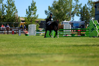 00768 - Shea - 2026 Mid-Summer Classic I - Sunday July 12th