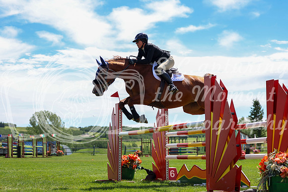07637 - Shea - 2026 Mid-Summer Classic I - Sunday July 12th