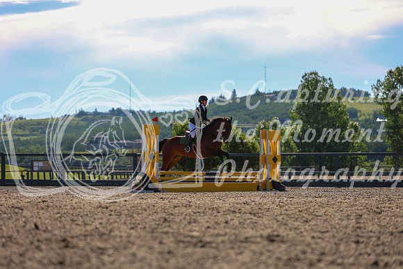 03385 - Mkenzi - 2026 Mid-Summer Classic I - Sunday July 12th