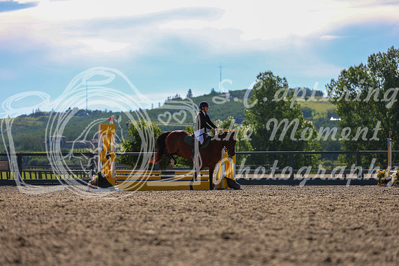 03390 - Mkenzi - 2026 Mid-Summer Classic I - Sunday July 12th