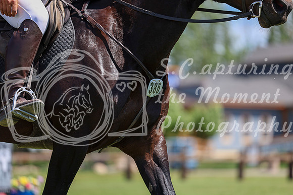 07741 - Shea - 2026 Mid-Summer Classic I - Sunday July 12th