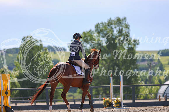 03915 - Mkenzi - 2026 Mid-Summer Classic I - Sunday July 12th