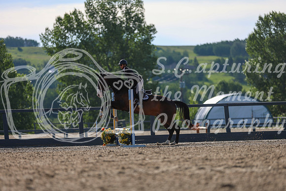 02486 - Mkenzi - 2026 Mid-Summer Classic I - Sunday July 12th