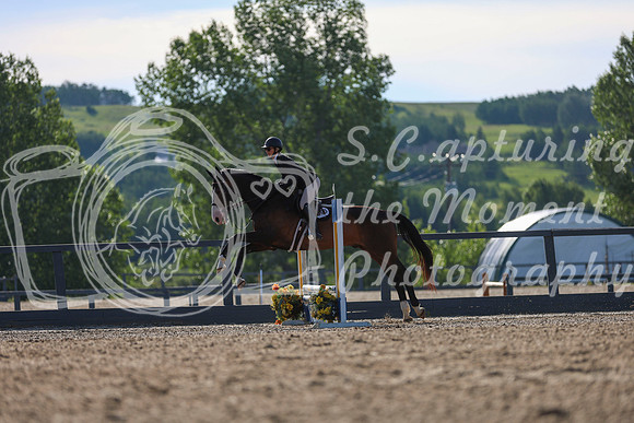02488 - Mkenzi - 2026 Mid-Summer Classic I - Sunday July 12th