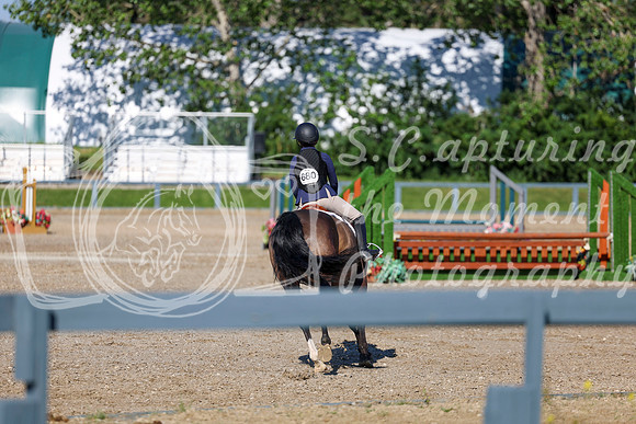 01978 - Shea - 2026 Mid-Summer Classic II - Wednesday July 13th