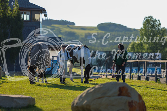 00004 - Shea - 2026 Mid-Summer Classic II - Wednesday July 13th