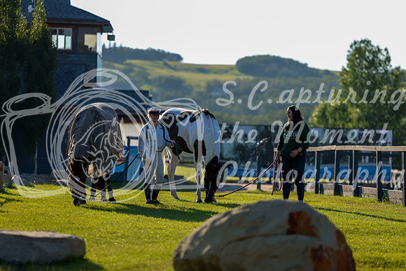 00006 - Shea - 2026 Mid-Summer Classic II - Wednesday July 13th