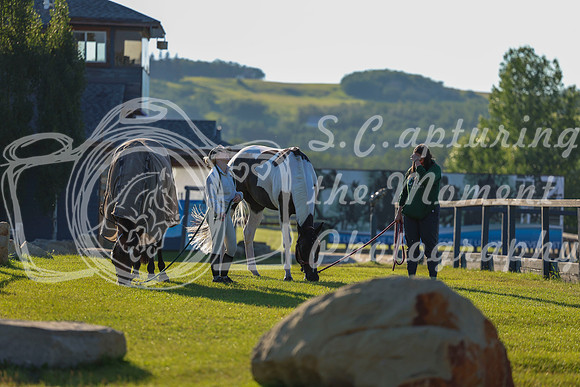 00008 - Shea - 2026 Mid-Summer Classic II - Wednesday July 13th