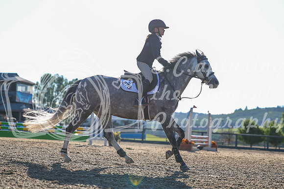 00196 - Shea - 2026 Mid-Summer Classic II - Wednesday July 13th