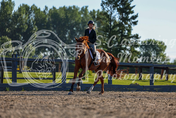 00593 - Shea - 2026 Mid-Summer Classic II - Wednesday July 13th