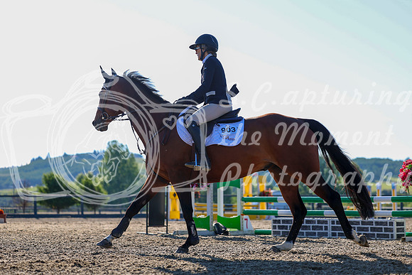 00842 - Shea - 2026 Mid-Summer Classic II - Wednesday July 13th