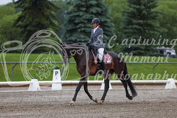 2025 - Dressage Festival - Sunday July 6th - 00611