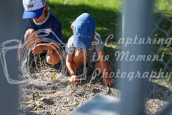 03793 - Shea - 2026 Mid-Summer Classic II - Thursday July 14th