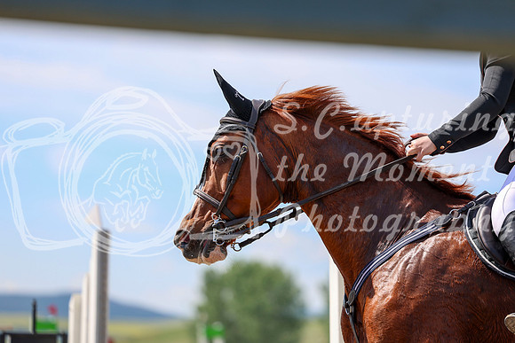 09145 - Shea - 2026 Mid-Summer Classic II - Thursday July 14th