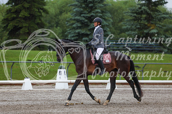 2025 - Dressage Festival - Sunday July 6th - 00622