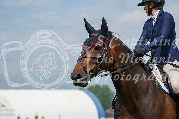 08231 - Alina - 2026 Mid-Summer Classic II - Friday July 15th
