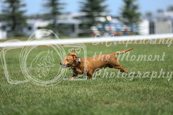 2026 - Mckenna - Jump With Hope - Friday July 17th - 08405