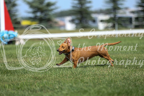 2026 - Mckenna - Jump With Hope - Friday July 17th - 08407