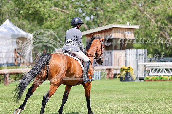 14991 - Mara - 2026 Mid-Summer Classic II - Friday July 15th