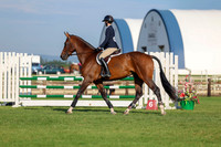 00538 - Shea - 2026 Mid-Summer Classic II - Friday July 15th