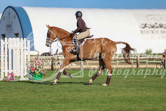 00331 - Shea - 2026 Mid-Summer Classic II - Friday July 15th
