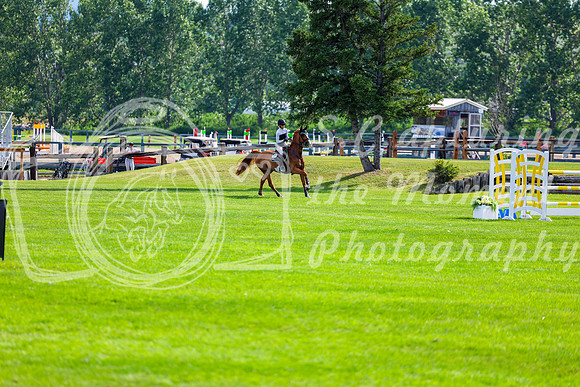 22385 - Shea - 2026 Mid-Summer Classic II - Friday July 15th