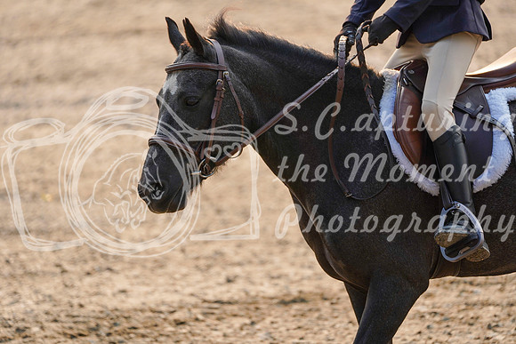 01924 - Alina - 2026 Mid-Summer Classic II - Saturday July 16th