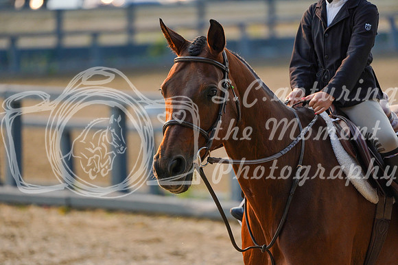 01940 - Alina - 2026 Mid-Summer Classic II - Saturday July 16th