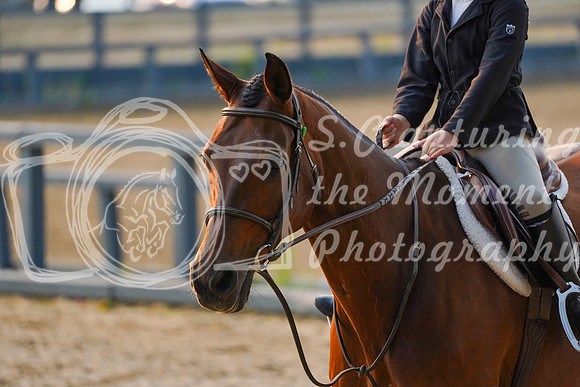 01941 - Alina - 2026 Mid-Summer Classic II - Saturday July 16th